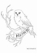 Hedwig Coloring1 sketch template