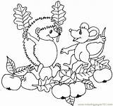 Hedgehog Hedgehogs Apple Garden Coloring Printable Animals Color sketch template
