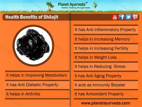 the magic of nature health benefits of pure shilajit