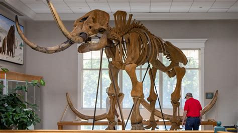 indiana lawmakers  mastodon   state fossil