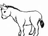 Donkey Mule Boyama Essek Sayfalari Resimleri Hayvan Okul Clipground Nazarca sketch template