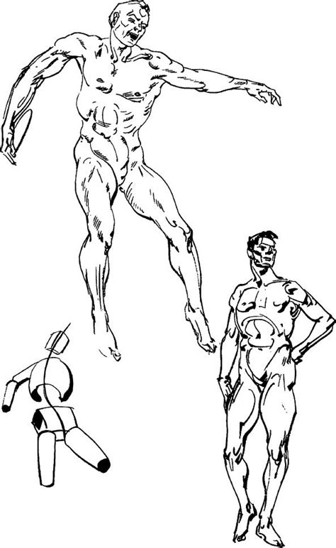 How To Draw People With Human Anatomy Lessons How To