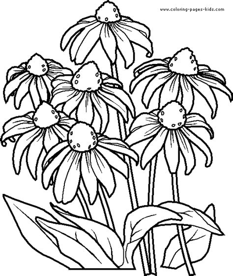 printable coloring pages flower coloring pages flower drawing