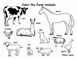 Farm Animals Pages Colouring Print Coloring Animal Find sketch template