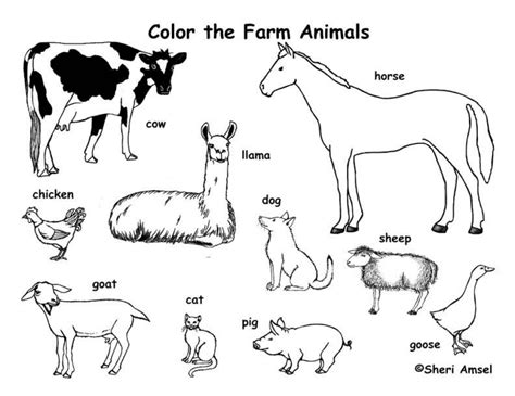 farm animals  colouring pages