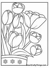 Coloring Tulip Flowers Tulips Iheartcraftythings Surely Bountifully Complement sketch template