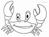 Crab Ausmalbilder Krabbe Malvorlagen Krabben Kinder Printable Cool2bkids sketch template
