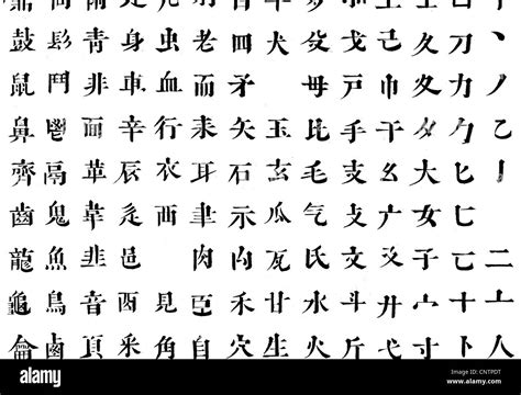 script chinese characters excerpt   chinese alphabet