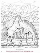 Hoofprints Dover Coloriage Malen Pferde sketch template
