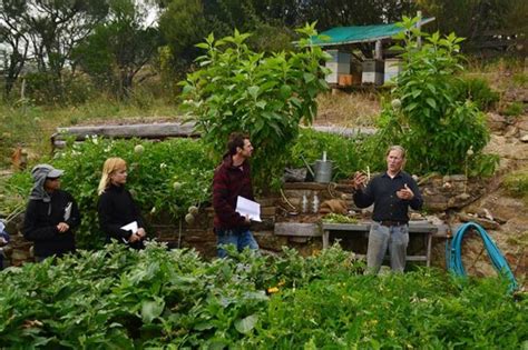 Permaculture Courses And Workshops With David Holmgren And Others