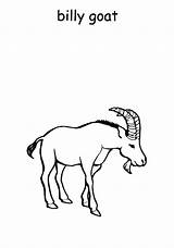 Billy Goat Coloring Pages Kids sketch template