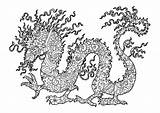 Dragon Coloring Complex Dragons Vera Pages Adult sketch template