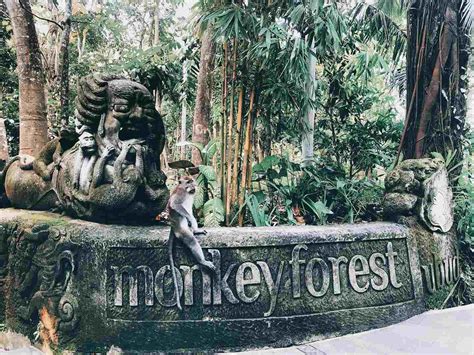 ubud monkey forest balicom