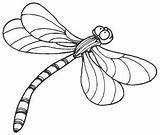 Libelulas Libélula Pintar Dragonfly Bichos Lizard sketch template