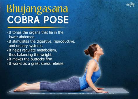 bhujangasana  cobra pose easy yoga workouts yoga benefits