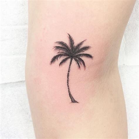 Mini Palm Tree Small Palm Trees Small Palms Trendy Tattoos Mini