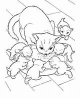 Gattini Gatti Stampare Disegnare sketch template