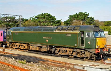 focus transport great western railway  revived