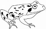 Kikker Frosch Grenouille Kleurplaten Frog Ausmalbilder Kleurplaat Mewarnai Coloriages Ausmalbild Katak Kodok Malvorlage Kikkertjes Bergerak Animierte Coloriage Imprimer Rana Animaatjes sketch template