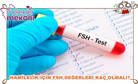 gebe kalmak için fsh değeri kaç olmalı melekler mekanı forum