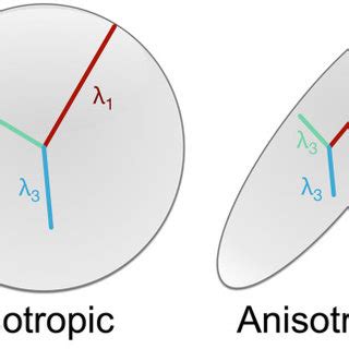 diffusion tensor model  illustrated left illustrates isotropic