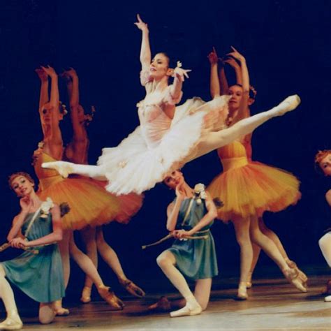 alina in 2019 dance art dance pictures ballet beautiful