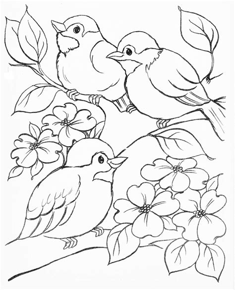 bless  day bird drawings bird coloring pages coloring pages