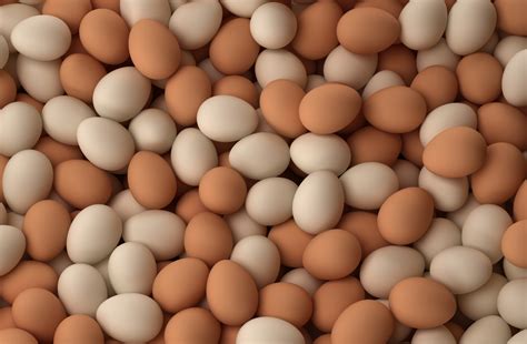 egg fake egg company aims  replace  billion chicken