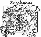 Zacchaeus Coloringhome sketch template