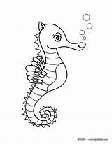 Seahorse Kleurplaten Zeedieren Cavalo Hipocampo Seepferdchen Ausmalen Marinho Hellokids Dieren Animaatjes Ausmalbild Marinos sketch template