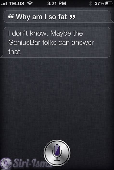 why am i so fat siri quotes