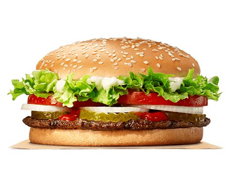 burger png transparent images png