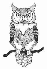 Owl Dessin Coloriage Hibou Chouette Owls Children Tatouage Drawn Ephemere sketch template