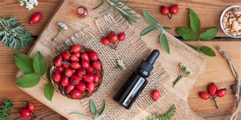 8 benefits of rosehip oil why you should use rosehip oil