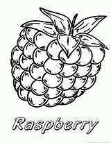 Raspberry Coloring Pages 123coloringpages Fruit sketch template