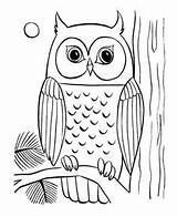 Owl Coloring Pages Graduation Colouring Tree Printable Patterns Preschool Mosaic sketch template