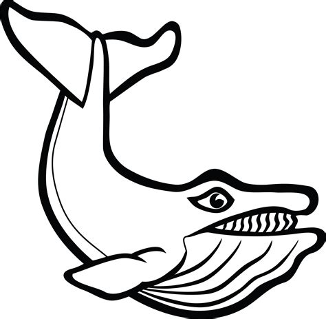 gambar ikan paus kartun hitam putih