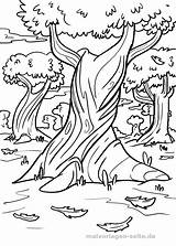 Herbst Malvorlage Malvorlagen Jahreszeiten Herbstbaum Erwachsene Gras Kinderbilder Bäume Seite sketch template