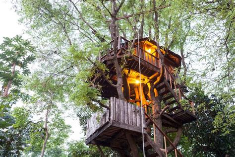 treehouse hotels vacation rentals  thailand trip