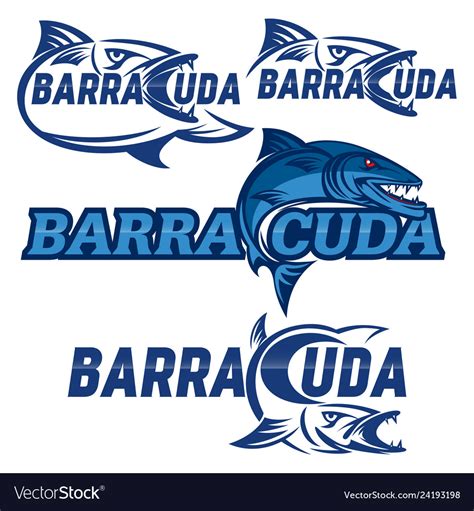 modern barracuda logo royalty  vector image