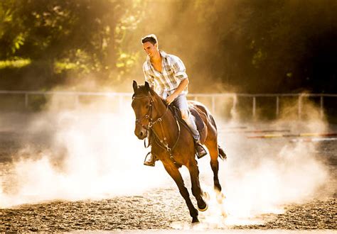man riding horse stock  pictures royalty  images istock
