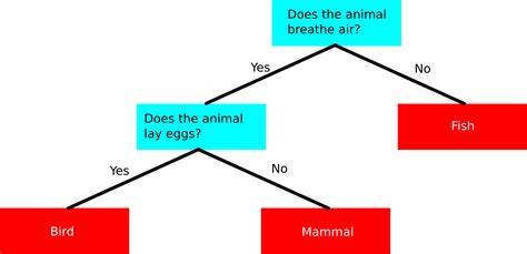 beginners guide  decision tree classification  charlie