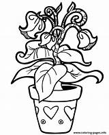 Coloring Exotic Pages Flower Pot Printable sketch template