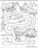 Toca Castor Beaver Labyrinth Coloringhome Tudodesenhos Popular sketch template