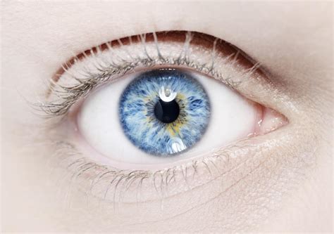 genetic mutation  human eyes