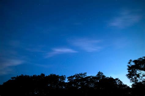Free Picture Dark Blue Sky Clear Sky Dusk Stars Clouds Trees Night