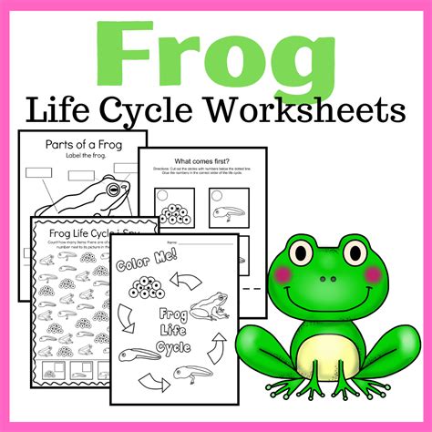 frog life cycle printable