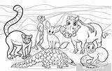 Animales Dieren Animaux Africani Africanos Afrikaanse Cartoon Fargelegging Dyr Coloriage Cartoni Animati Wilde Afrique Pixers Visualisatie Leveranciers sketch template