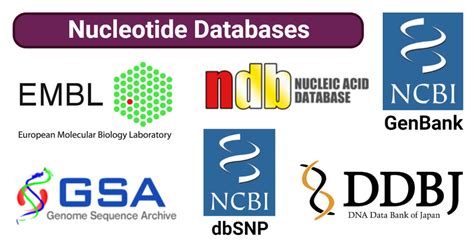 nucleotide databases definition types examples
