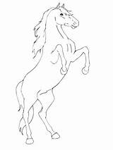 Rearing Cheval Coloriage Paard Kleurplaat Imprimer Kleurplaten Steigerend Cavallo Fries Frison Printen Aladdin Cabre Dessin Cabré Chevaux Zampe Stampare Disegnare sketch template